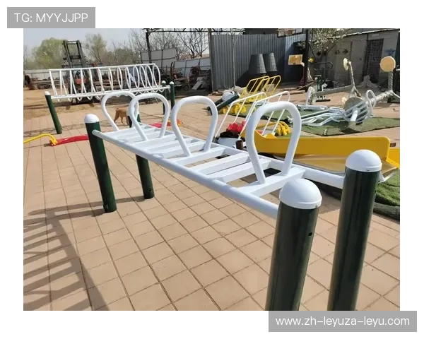 户外健身器材制造企业的经营状况