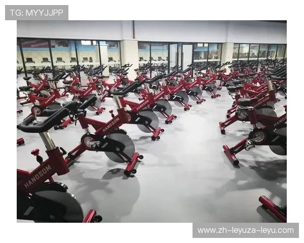 高端健身器材选购指南:设计、功能与品牌全面比较 高端健身器材选购指南:设计、功能与品牌全面比较